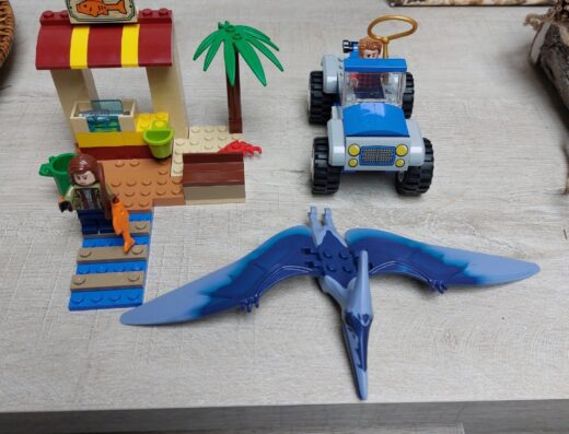 Achtervolging van Pteranodon