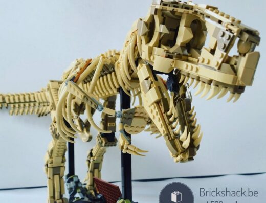 76968 Dinosaurusfossielen: Tyrannosaurus rex
