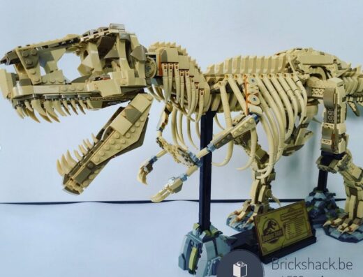 76968 Dinosaurusfossielen: Tyrannosaurus rex
